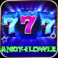 andy flower Plus v4.1.1