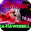 antigua hawksbill Turbo Pro v5.0.7