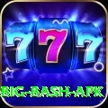 bbl big bash apk Games (Casino & Earning) Master v5.9.6