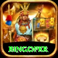 bingopkr Master v2.8.8