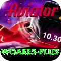 chris woakes - Premium v2.6.4