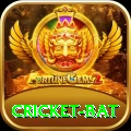 cricket bat Deluxe Edition v3.9.5