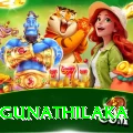 danushka gunathilaka Apps (Tools & Injectors) VIP v1.9.9