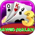 dawid malan Pro1 v2.9.8
