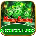 england cricket Game VIP v1.1.6