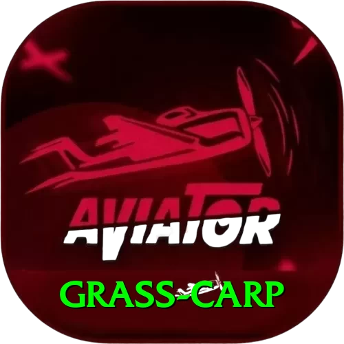 grass carp Plus v3.1.9 - 2