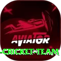 hong kong cricket team Max v1.3.5