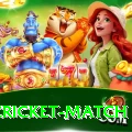 india cricket match Deluxe Edition v1.2.4
