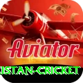 india pakistan cricket Pro Edition v2.6.5