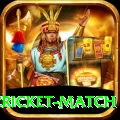 india pakistan cricket match Deluxe v4.0.0
