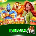 indvsa Pro v1.5.8