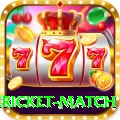 international cricket match Elite v1.3.1