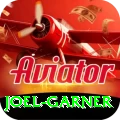 joel garner Gold Edition v1.5.6