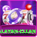 keep himalayan clean VIP Pro v5.4.3
