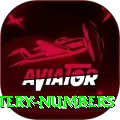 mega millions jackpot lottery numbers Master v2.5.3