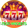 most test wickets Premium Edition v1.2.5