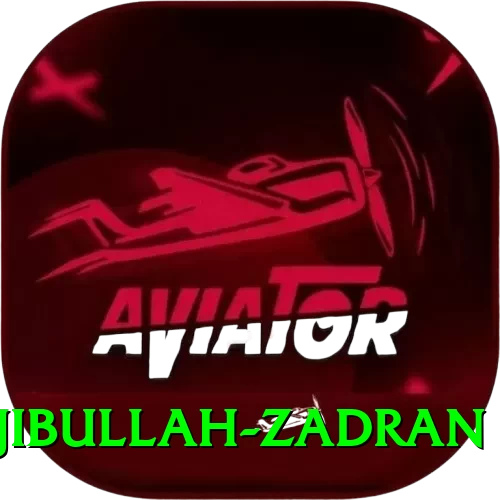 najibullah zadran Turbo v2.8.9 - 2