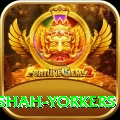 naseem shah yorkers Premium v2.2.1