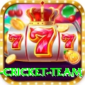 new zealand cricket team Ultimate Pro v2.2.1