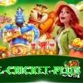one cricket Jackpot King v4.3.5