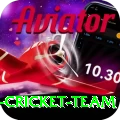 pakistan women cricket team Games (Casino & Earning) Elite v1.3.4