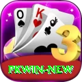 pkwin Apps (Tools & Injectors) Deluxe vv5.5.0