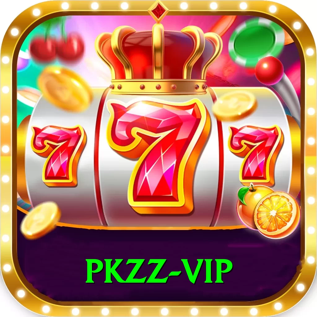 pkzz Plus Pro v1.2.1 - 2