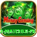 rain affected matches pk Plus v2.9.7