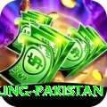 responsible gambling pakistan Pro1 v3.3.3