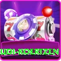 rudi koertzen Max v4.9.5