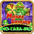 saano tara bus Gold Pro v3.2.1