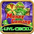 smartcric live cricket Pro Max v1.9.8