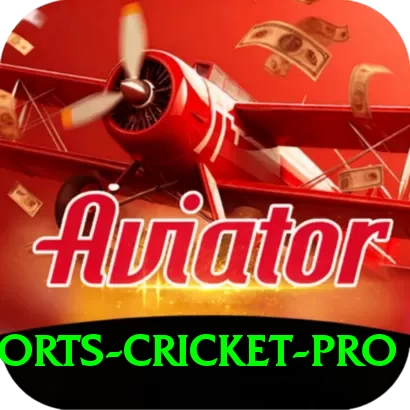 sports cricket Game Champion v4.9.7 - 2