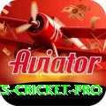 sports cricket Game Champion v4.9.7