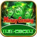 test cricket Plus Pro v1.1.2