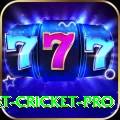 test cricket Extreme - Free Download