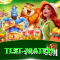 test match Plus v4.5.9