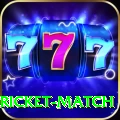 to day cricket match Elite Pro v2.6.6