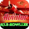wicket hauls bowlers Deluxe Edition v4.3.6
