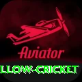 willow cricket Apps (Tools & Injectors) Max v3.8.8